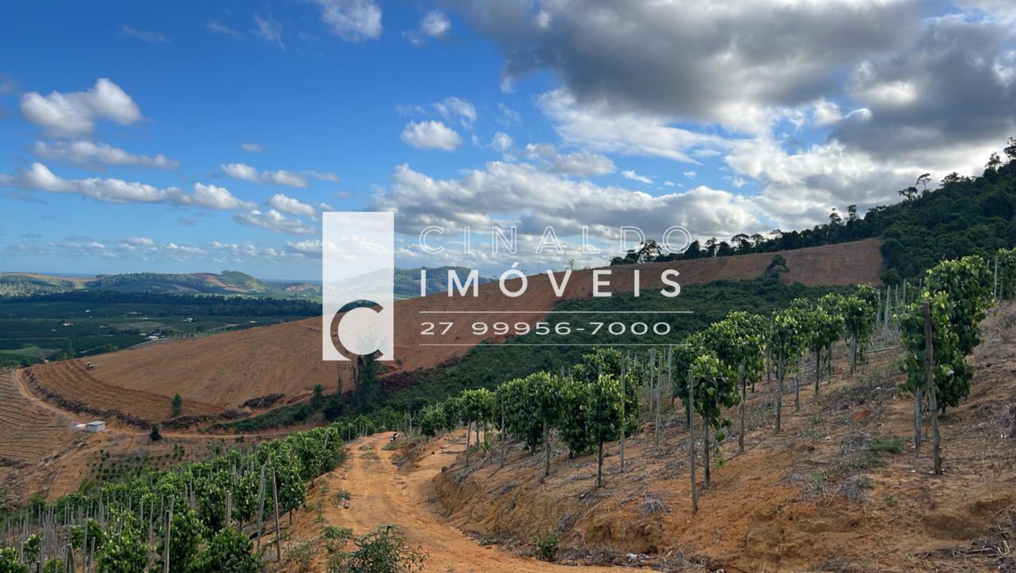 Sítio com 48 hectares à venda em Rio Bananal ES